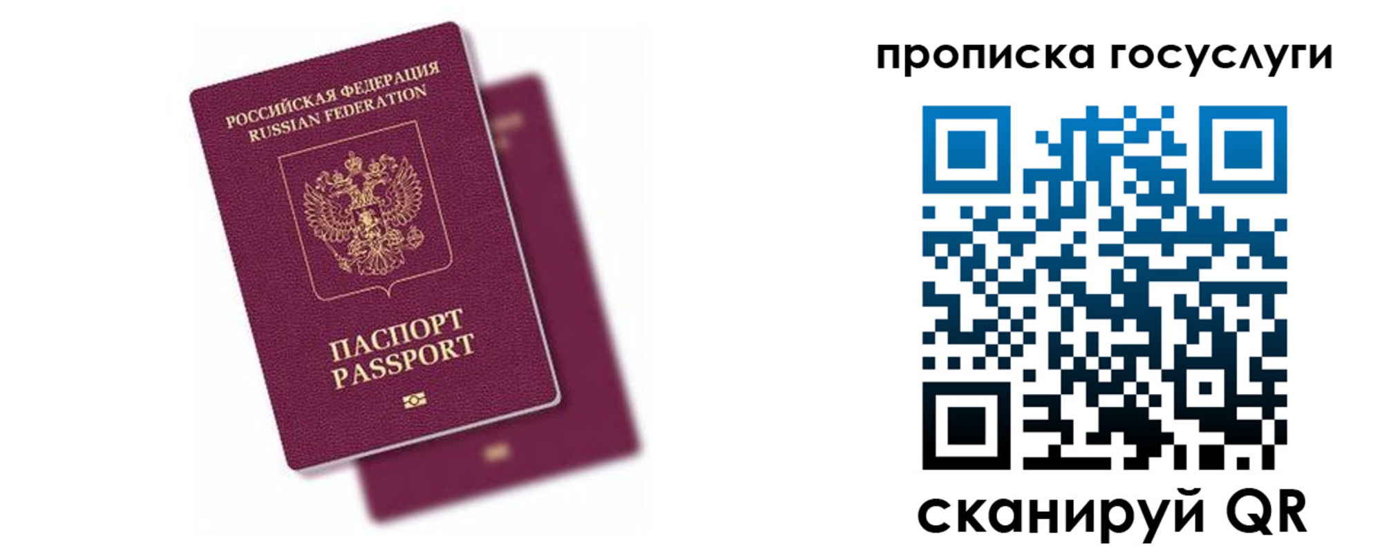 прописка паспорт в Владимире
